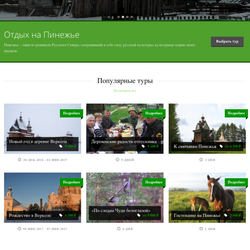 pinega29.ru screenshot